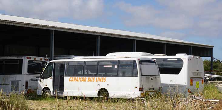 Caramar Mercedes 814D Alan B Denning Vario WAE631 D9925